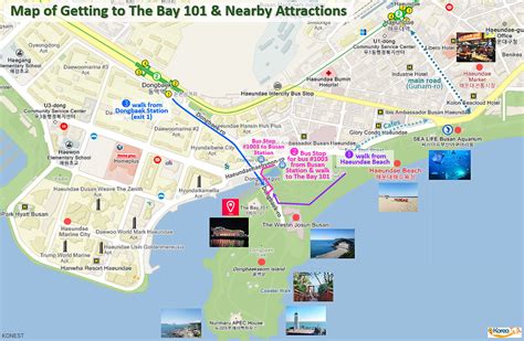 The Bay 101: Photos, Map & Reviews [2024] .